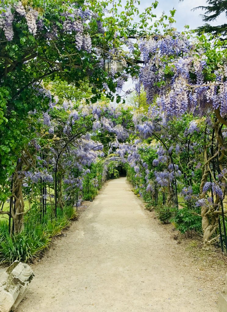 Jardín con paseo de flores violetas